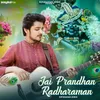 About Jai Prandhan Radharaman Song